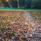 Blurred background of park path covered in fallen autumn leaves Blurred background of park path covered in fallen autumn leaves - PhotoDune Item for Sale