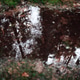 Mystical Forest Reflection in a Water Puddle Mystical Forest Reflection in a Water Puddle - PhotoDune Item for Sale