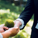 Environment World Earth Day. Hands holding green earth, Saving environment. Environment World Earth Day. Hands holding green earth, Saving environment. - PhotoDune Item for Sale