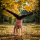 autumn autumn - PhotoDune Item for Sale