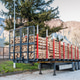 Trucks charged with wood logs waiting for delivery Trucks charged with wood logs waiting for delivery - PhotoDune Item for Sale