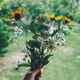 Woman holding bouquet of freshly picked wildflowers Woman holding bouquet of freshly picked wildflowers - PhotoDune Item for Sale