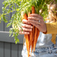 Closeup of Woman holding bunch of organic carrots Closeup of Woman holding bunch of organic carrots - PhotoDune Item for Sale
