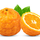 Tangerines isolated on white background Tangerines isolated on white background - PhotoDune Item for Sale