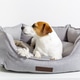 Dog jack russell terrier lying in gray pet bed with cord toy, and looking away. Dog jack russell terrier lying in gray pet bed with cord toy, and looking away. - PhotoDune Item for Sale