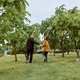 Young couple holding hands walking through orchard in autumn Young couple holding hands walking through orchard in autumn - PhotoDune Item for Sale
