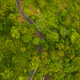 Top down overhead aerial view of asphalt road leading through lush green jungle Top down overhead aerial view of asphalt road leading through lush green jungle - PhotoDune Item for Sale
