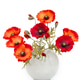 The image of a bouquet of artificial poppies in a vase, isolated, on a white background. The image of a bouquet of artificial poppies in a vase, isolated, on a white background. - PhotoDune Item for Sale