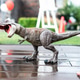 Dinosaur rubber toy on the children’s party Dinosaur rubber toy on the children’s party - PhotoDune Item for Sale