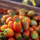 Farm to Table Organic Cherry Tomatoes Close Up Background Farm to Table Organic Cherry Tomatoes Close Up Background - PhotoDune Item for Sale