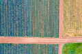 Agriculture drone shot Agriculture drone shot - PhotoDune Item for Sale