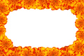 Frame from Orange and red Marigold flowers on a white background. Frame from Orange and red Marigold flowers on a white background. - PhotoDune Item for Sale
