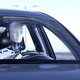 Robot driving a car Robot driving a car - PhotoDune Item for Sale