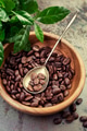 Coffee Beans Coffee Beans - PhotoDune Item for Sale