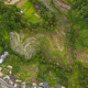 Top down aerial view of farm paddy rice plantations near small rural village in Bali, Indonesia Top down aerial view of farm paddy rice plantations near small rural village in Bali, Indonesia - PhotoDune Item for Sale