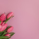 Pink Tulip Bouquet on Soft Pink Background. Elegant Spring Floral Flatlay Pink Tulip Bouquet on Soft Pink Background. Elegant Spring Floral Flatlay - PhotoDune Item for Sale