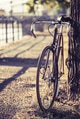 Bike road fixed gear bicycle Bike road fixed gear bicycle - PhotoDune Item for Sale