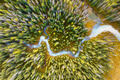 A drone view of the river in the woods. An aerial view of an autumn forest. A drone view of the river in the woods. An aerial view of an autumn forest. - PhotoDune Item for Sale