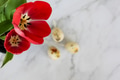 red tulips closeup with easter eggs decorations in background on white marble surface red tulips closeup with easter eggs decorations in background on white marble surface - PhotoDune Item for Sale