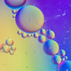 Rainbow abstract defocused background picture made with oil, water and soap Rainbow abstract defocused background picture made with oil, water and soap - PhotoDune Item for Sale