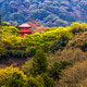 Orange temple in Kyoto, japan, traditional temple architecture, vegetation Orange temple in Kyoto, japan, traditional temple architecture, vegetation - PhotoDune Item for Sale