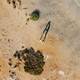 A drone shoot, tiny humans A drone shoot, tiny humans - PhotoDune Item for Sale