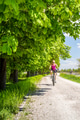 Woman cycling a mountain bike in city park, summer day Woman cycling a mountain bike in city park, summer day - PhotoDune Item for Sale