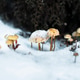 Frozen Mushrooms in the Snow in New Zealand Frozen Mushrooms in the Snow in New Zealand - PhotoDune Item for Sale