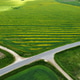photo from a drone top view of the green fields and the crossroads photo from a drone top view of the green fields and the crossroads - PhotoDune Item for Sale