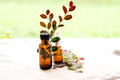 Mock-up Amber glass bottles against natural background Mock-up Amber glass bottles against natural background - PhotoDune Item for Sale