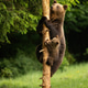 Mother brown bear and cub's climbing up a tree. Mother brown bear and cub's climbing up a tree. - PhotoDune Item for Sale