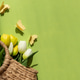 Mothers Day Tulips in Straw Bag with Paper Butterflies Mothers Day Tulips in Straw Bag with Paper Butterflies - PhotoDune Item for Sale