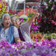 Two happy Asian senior women laugh together in a colorful flower garden Two happy Asian senior women laugh together in a colorful flower garden - PhotoDune Item for Sale