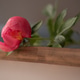 A peony flower lies on the edge of the table. A peony flower lies on the edge of the table. - PhotoDune Item for Sale