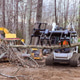 Heavy machinery clears fallen trees in wooded area during winter Heavy machinery clears fallen trees in wooded area during winter - PhotoDune Item for Sale