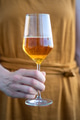 A woman in an orange dress holding a glass of cider, close-up of a summer drink A woman in an orange dress holding a glass of cider, close-up of a summer drink - PhotoDune Item for Sale