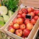 Freshly harvested apples vegetables displayed in wooden crates at local market Freshly harvested apples vegetables displayed in wooden crates at local market - PhotoDune Item for Sale