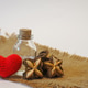 Plukenetia Volubilis Seed or Sacha inchi.Contains high amounts of omega 3,6,9 fatty acids. Plukenetia Volubilis Seed or Sacha inchi.Contains high amounts of omega 3,6,9 fatty acids. - PhotoDune Item for Sale