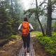 A person walking on a wooden path through a misty forest. The individual is wearing a gray long-slee A person walking on a wooden path through a misty forest. The individual is wearing a gray long-slee - PhotoDune Item for Sale