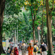 A group of people from behind walking down a street in Ho Chi Minh city. A group of people from behind walking down a street in Ho Chi Minh city. - PhotoDune Item for Sale
