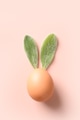 Easter brown egg with from leaves as bunny. Creative Easter card. Easter brown egg with from leaves as bunny. Creative Easter card. - PhotoDune Item for Sale