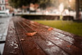 autumn leaves on a table in public park autumn leaves on a table in public park - PhotoDune Item for Sale