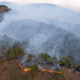 Extinguishing Jungle Fire Extinguishing Jungle Fire - PhotoDune Item for Sale