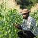 A farmer inspects a cornfield using a digital tablet. A farmer inspects a cornfield using a digital tablet. - PhotoDune Item for Sale