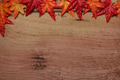 Colorful Autumn maple leaves on wooden background with copy space. Colorful Autumn maple leaves on wooden background with copy space. - PhotoDune Item for Sale