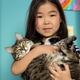 Child portrait with domestic pet, cute asian girl holding tabby cat Child portrait with domestic pet, cute asian girl holding tabby cat - PhotoDune Item for Sale