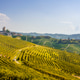 Serralunga d'Alba Village and Terraced Vineyards, Piedmont, Italy Serralunga d'Alba Village and Terraced Vineyards, Piedmont, Italy - PhotoDune Item for Sale