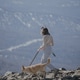 A woman walking with a pet, with a dog on a leash in profile A woman walking with a pet, with a dog on a leash in profile - PhotoDune Item for Sale