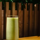 Refreshing green smoothie served in a glass on a wooden table near lush plants Refreshing green smoothie served in a glass on a wooden table near lush plants - PhotoDune Item for Sale