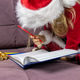 Little Santa wish list gift writing pen red hat new year. Child. Little Santa wish list gift writing pen red hat new year. Child. - PhotoDune Item for Sale